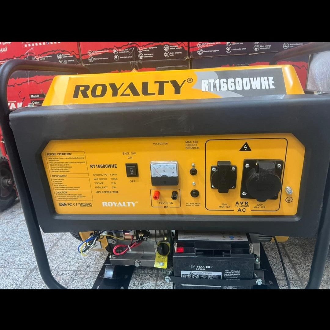 موتور برق ۷ کیلو وات رویالیتی مدل RT16600WHE